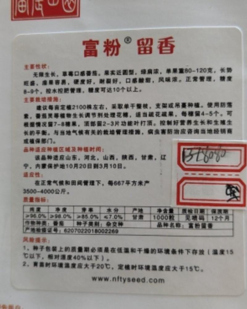 草莓西红柿种子番茄种子口感西红柿种子粉贝贝种子