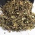 瓜子金来马回抱石莲辰砂草瓜子草批发零售中药材