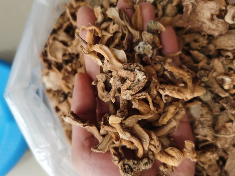 黄精片黄精打粉料500克可打粉干货顺丰包邮