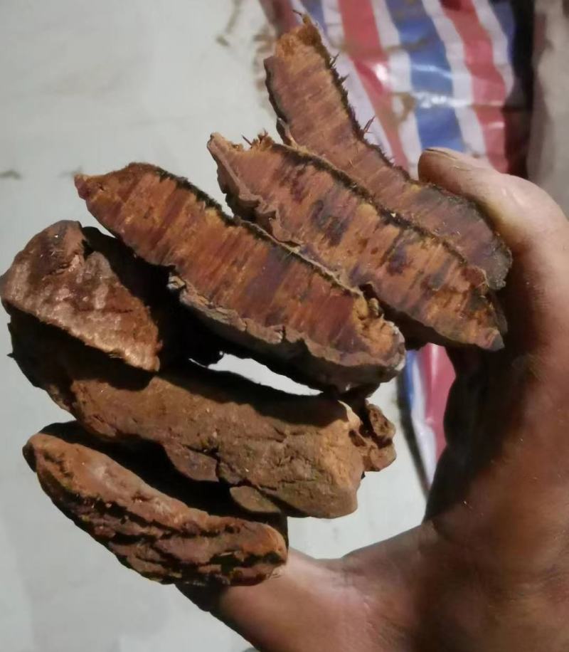 卡宾达树皮泡酒料量大从优云南新货