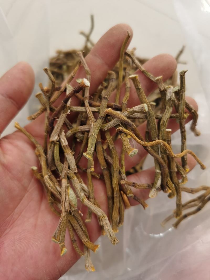 霍山仿野生铁皮石斛寸条石斛干条无渣铁皮石斛枫斗鲜条花