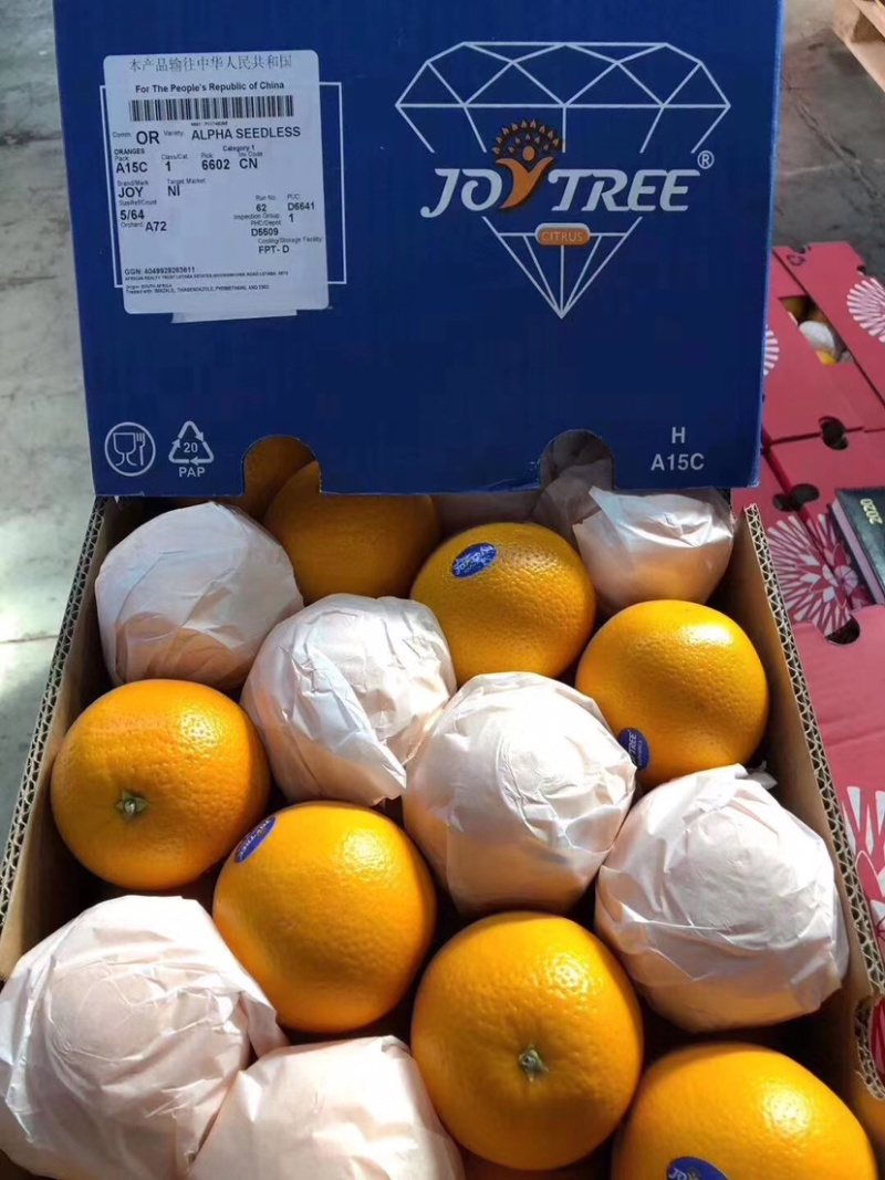 南非甜橙南非酸橙榨汁橙