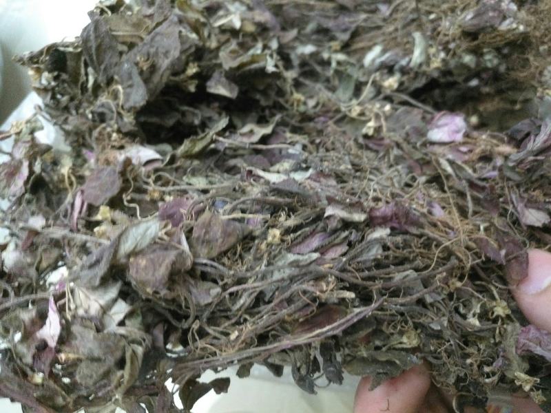 风鼓草，今年新货，干货