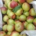 48油桃/丰光油桃大量上市，有需要的老板提前联系长期合作