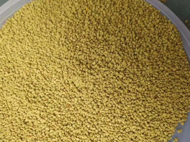 油菜花粉包邮颗粒大粉沫少一手货源一件代发