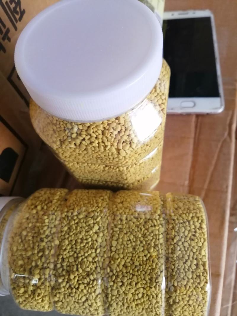油菜花粉包邮颗粒大粉沫少一手货源一件代发