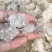 靓货爆米花拉丝天然雪燕干净没碎