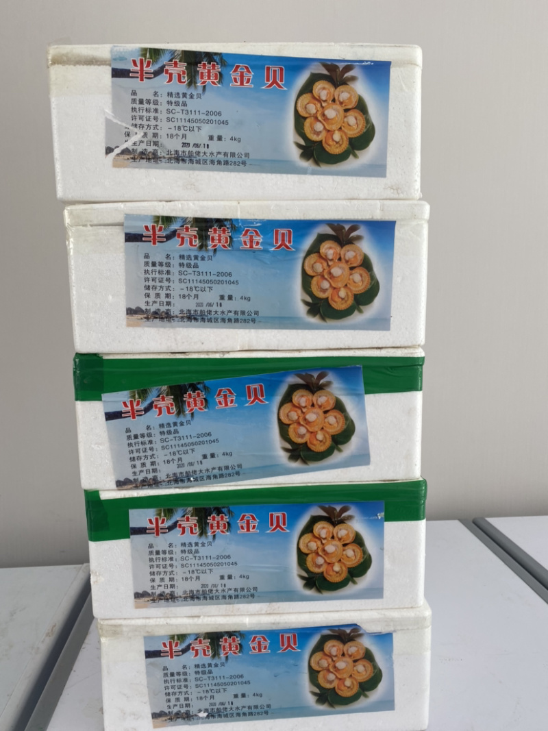 半壳黄金贝、半壳扇贝、产地一手加工、量大价优。