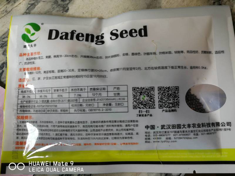 苏州青菜黑叶矮箕品质好不拔节。