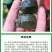 外塘甲鱼苗小甲鱼苗水鱼苗王八苗中华鳖生态养殖3-5克包邮