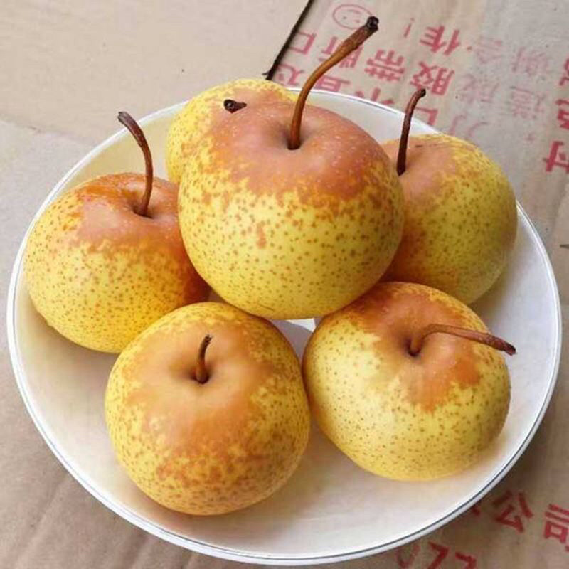 精品“花盖梨”产地直供，直供价格，超市采购