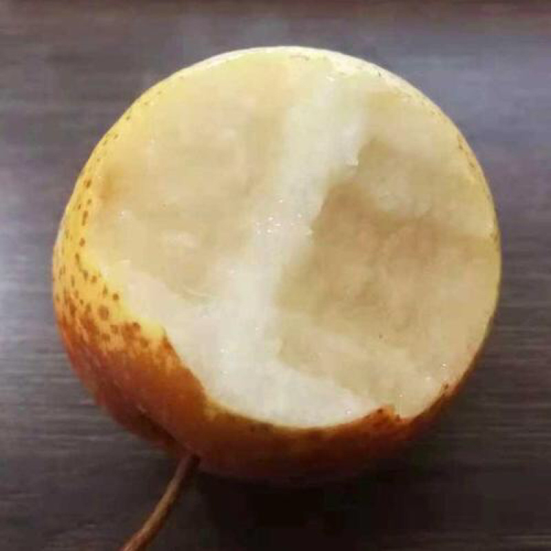 精品“花盖梨”产地直供，直供价格，超市采购