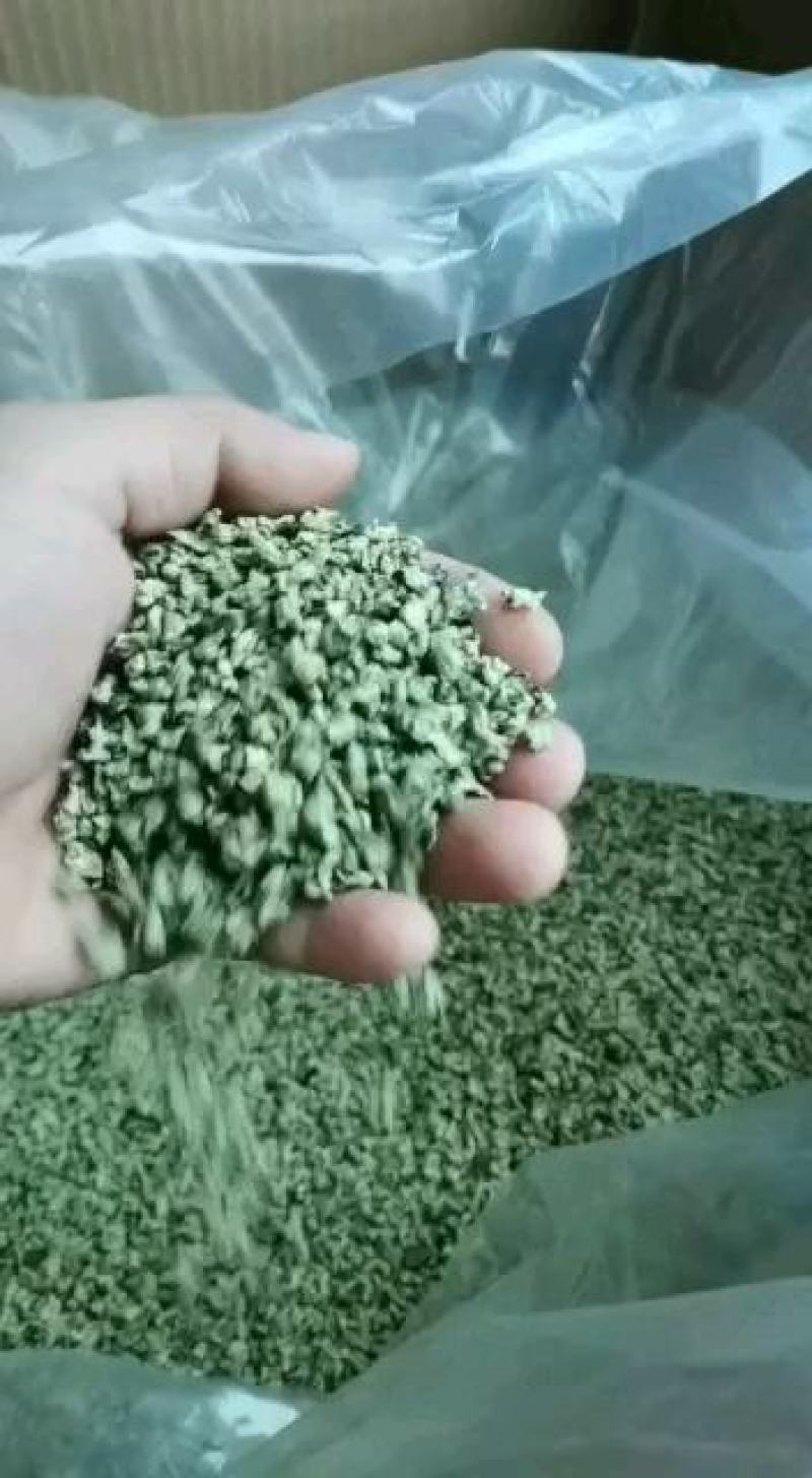 茶叶：微山湖荷叶茶厂家直销长期大量供货一手货源