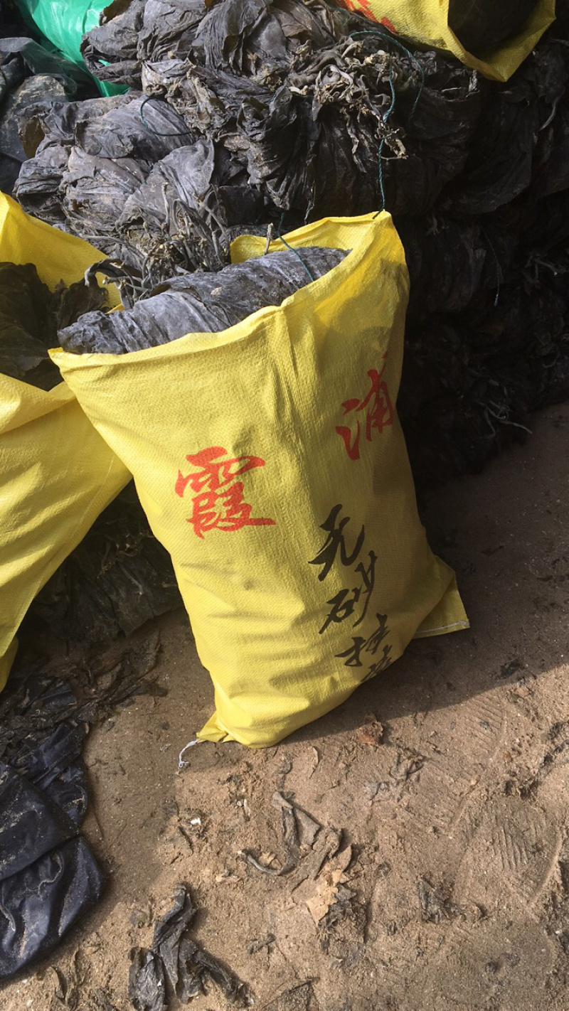 【精选】福建挂菜，散挂菜，无砂