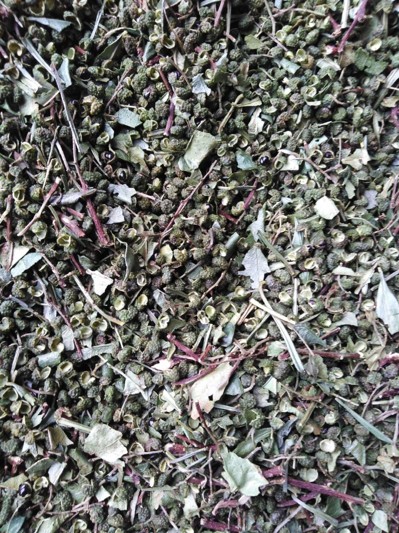 青花椒干货产自金沙江热带，麻味十足，假一赔十