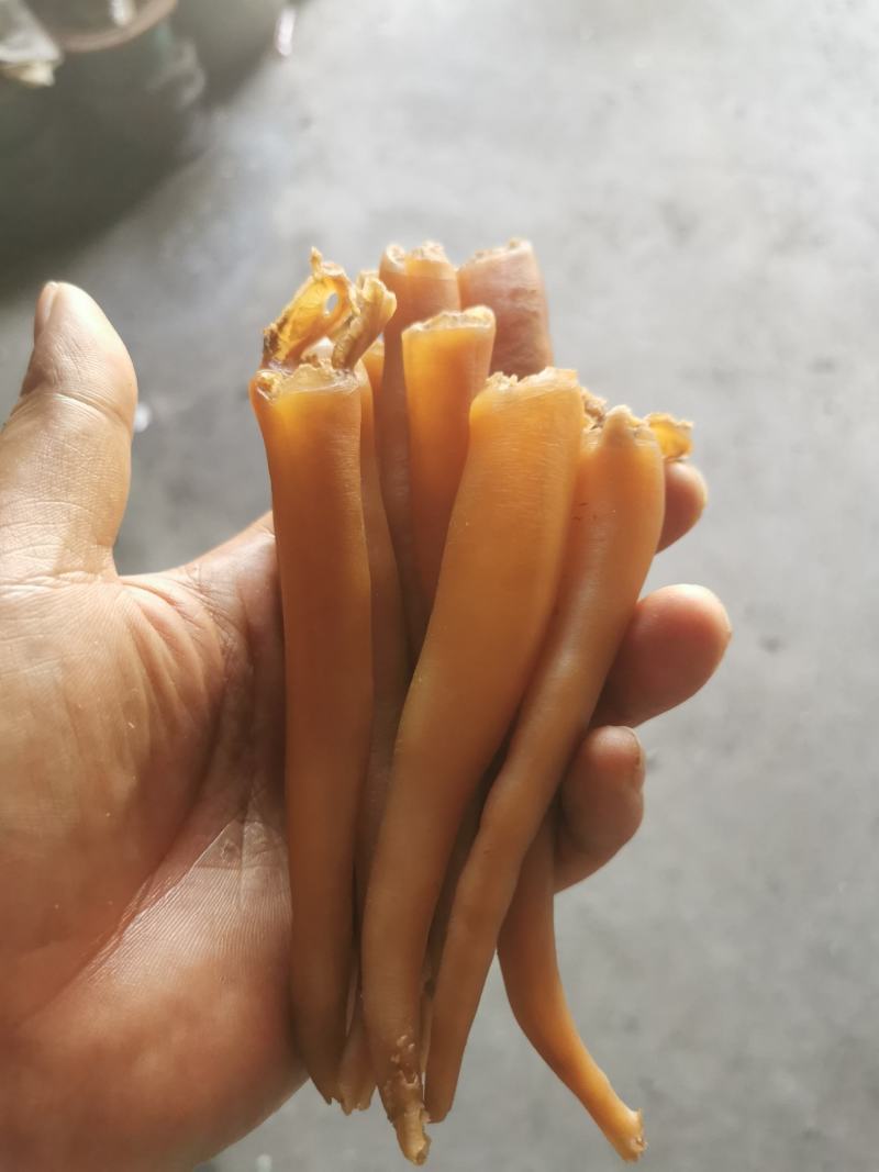 海蚌干海笋贝干大量批发