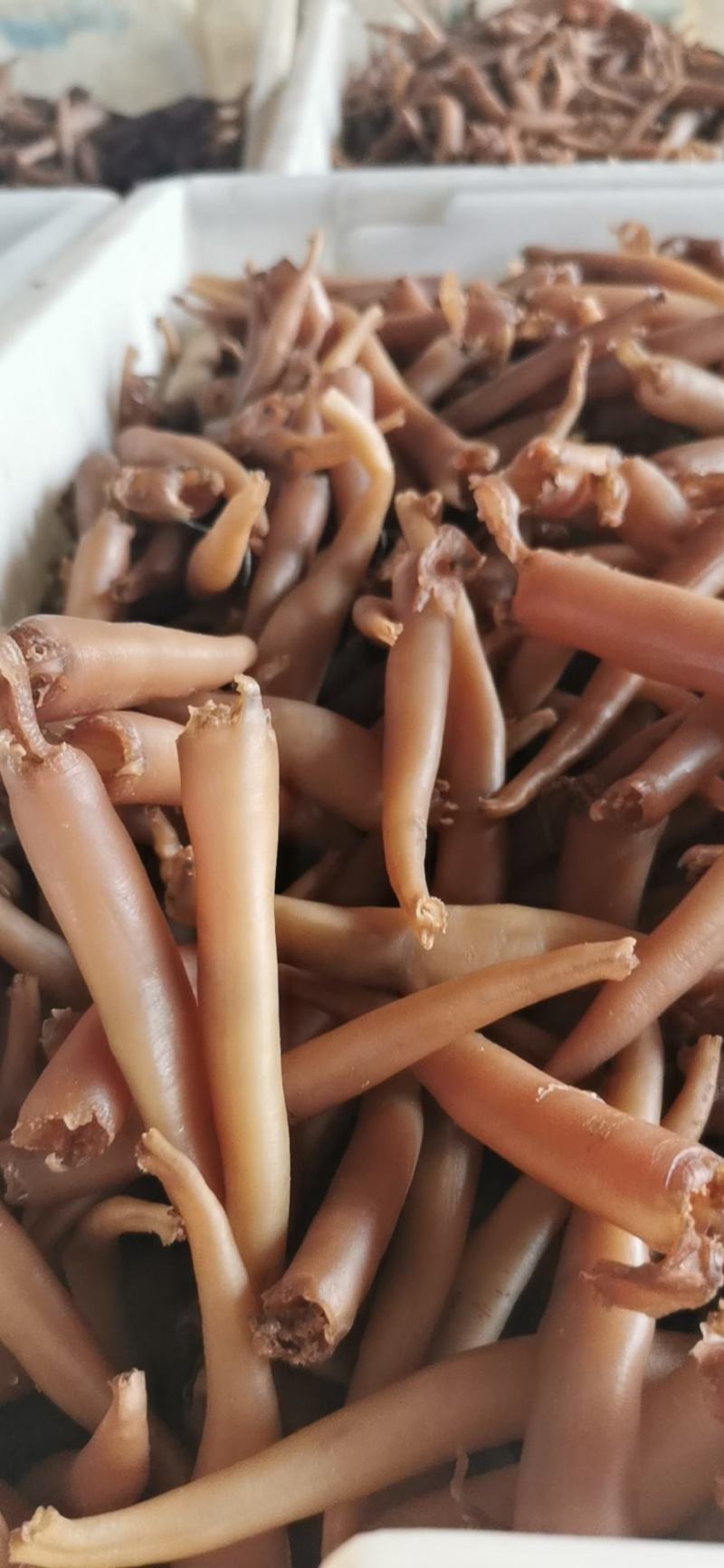 海蚌干海笋贝干大量批发