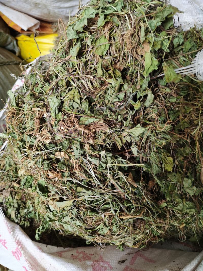 积雪草，雷公根，新货颜色漂亮，量大优惠