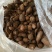 三叶青新鲜货500g金线吊葫芦广西山里采摘白肉干货石老鼠