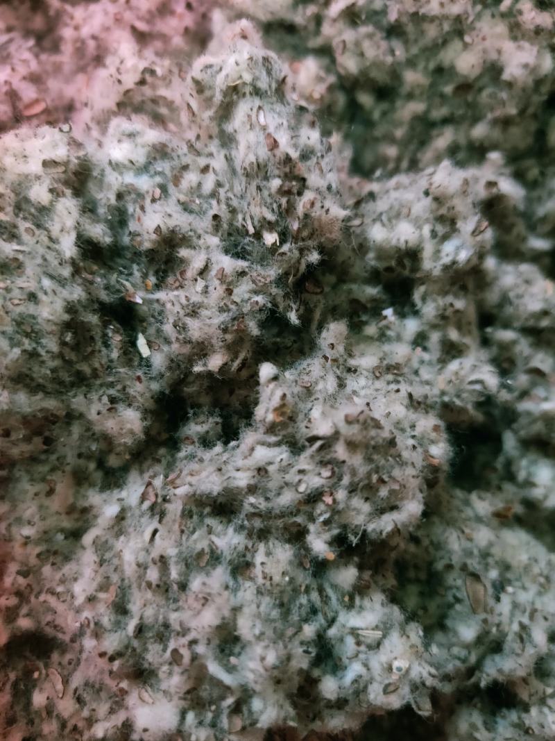 【现货速发】精致好棉籽壳价格低品质好一手货源（小壳）饲料肥料