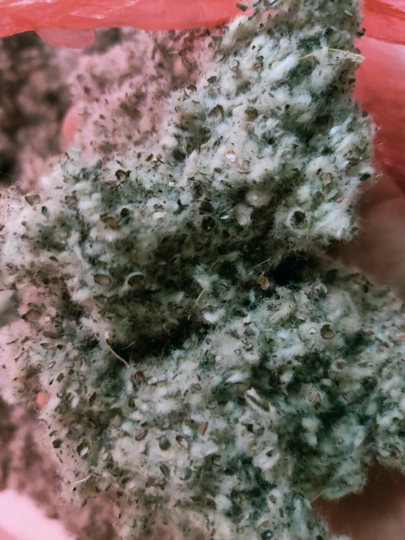 【现货速发】精致好棉籽壳价格低品质好一手货源（小壳）饲料肥料