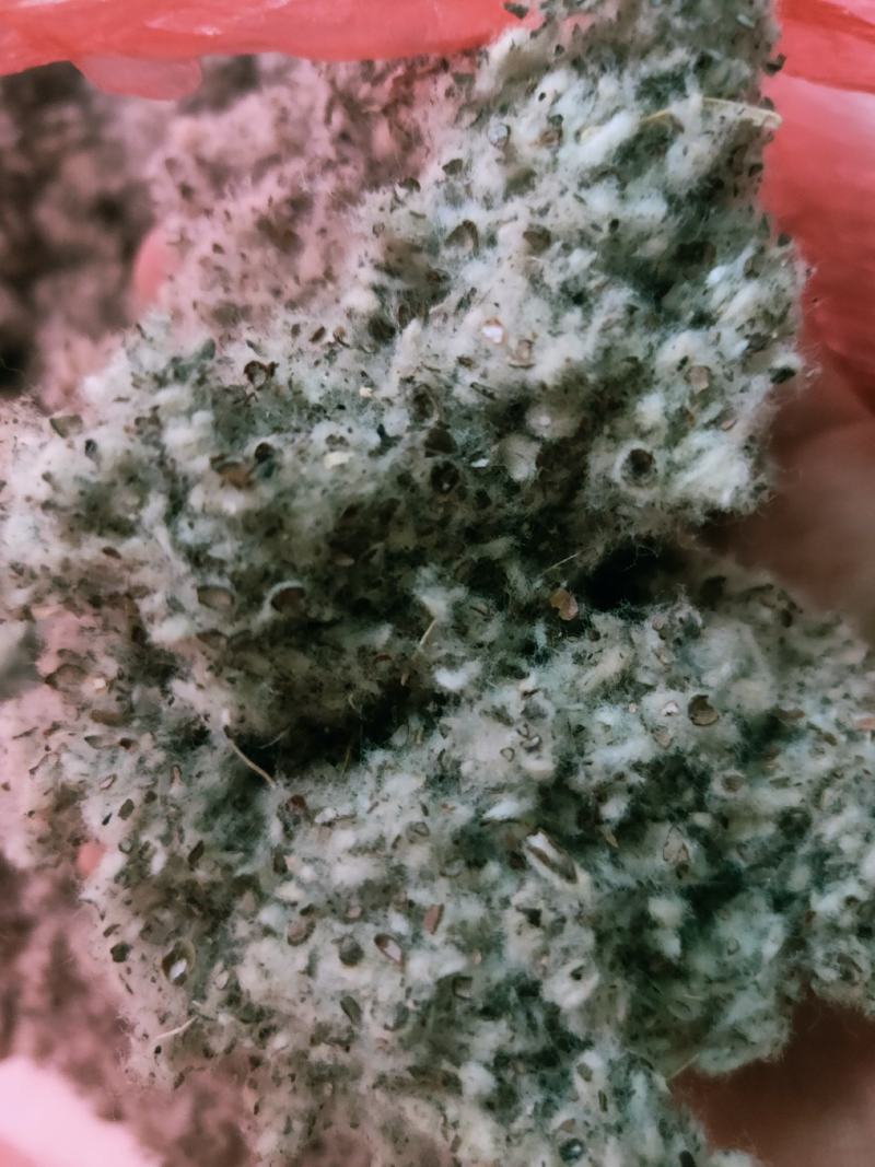 【现货速发】精致好棉籽壳价格低品质好一手货源（小壳）饲料肥料