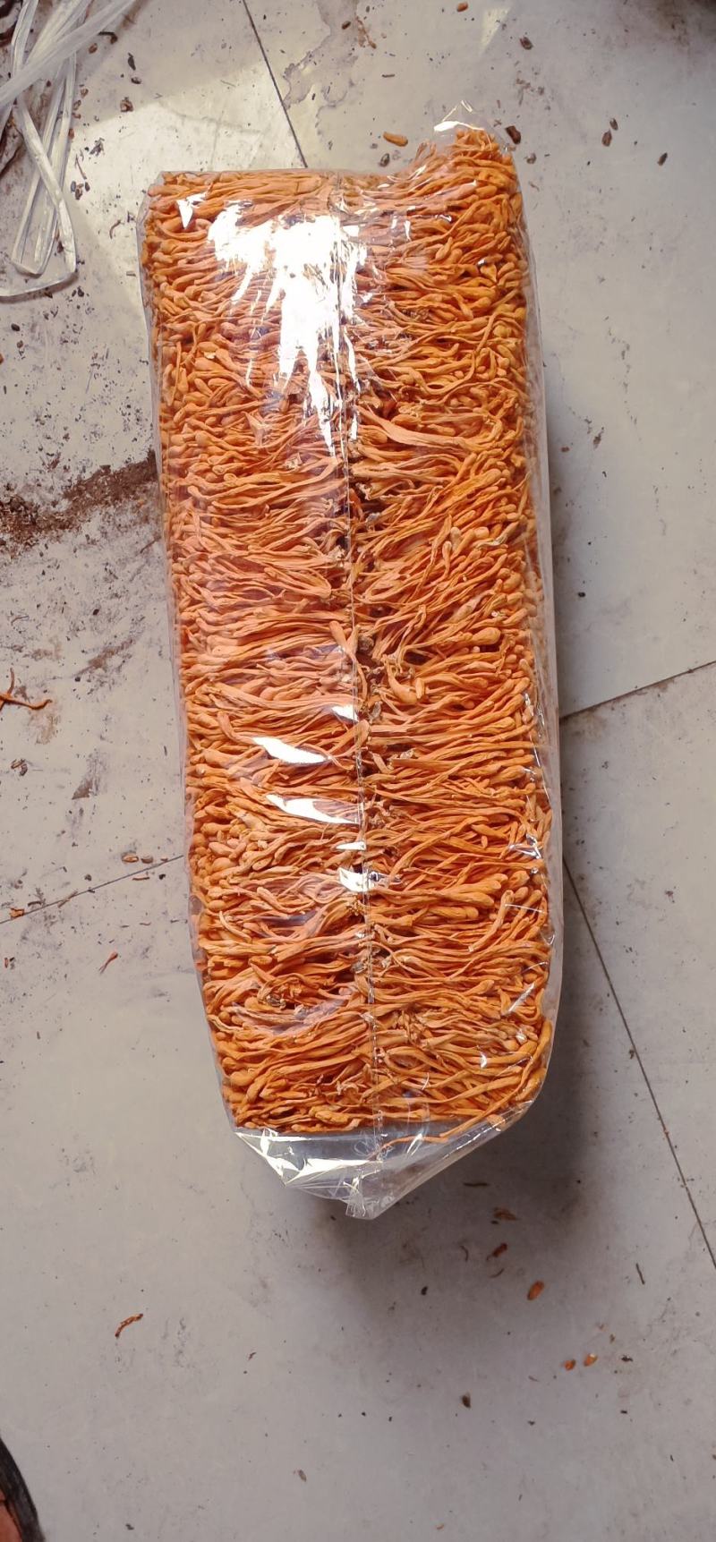 精选无硫虫草花，人工种植虫草花，产地直发，滋补食材