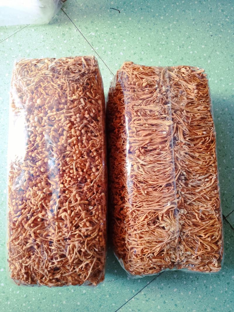 精选无硫虫草花，人工种植虫草花，产地直发，滋补食材