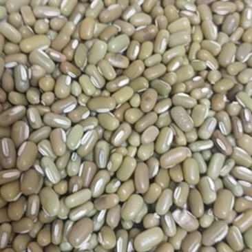 竹豆，批量销售量大从优。欢迎下单可做月饼馅儿