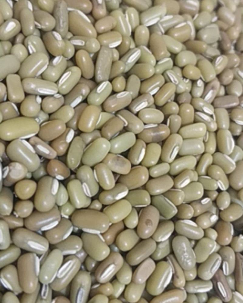 竹豆，批量销售量大从优。欢迎下单可做月饼馅儿