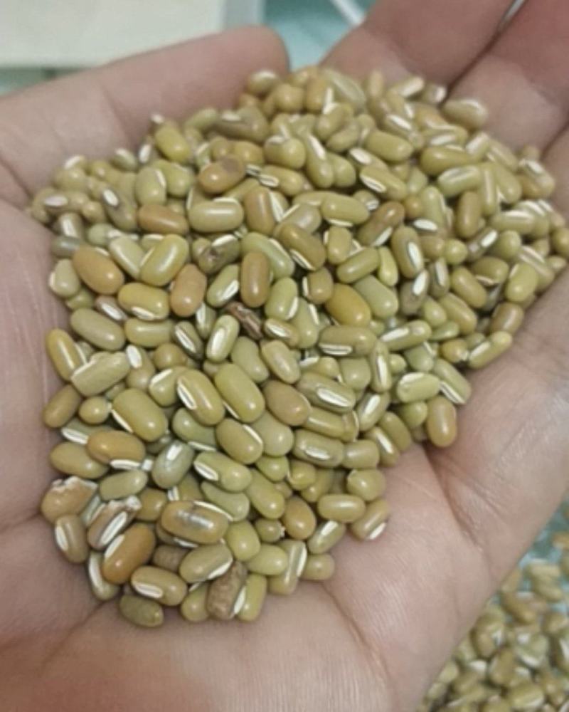 竹豆，批量销售量大从优。欢迎下单可做月饼馅儿