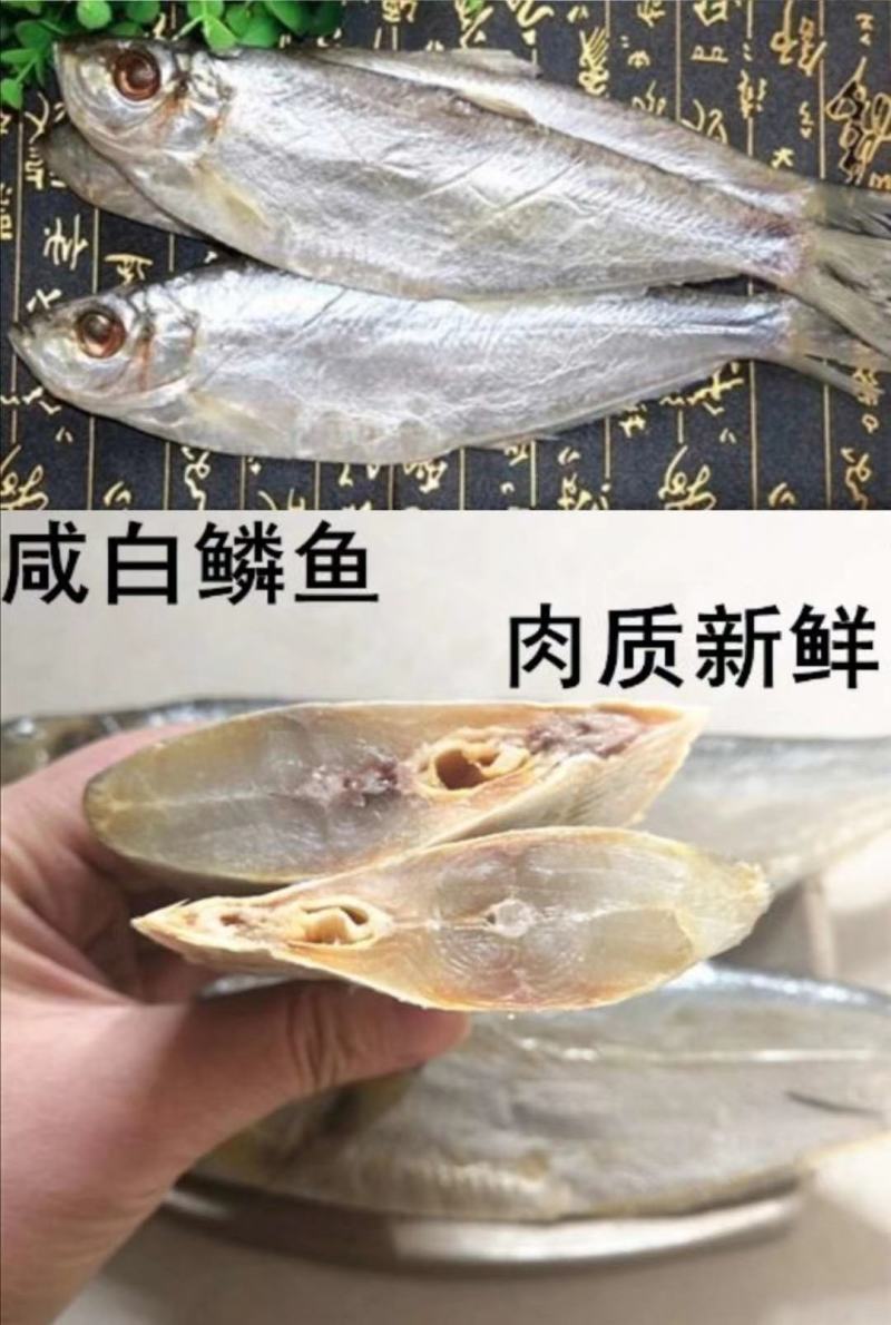 咸鱼白麟鱼，可以炸着吃红烧，酱炖都很好吃不包邮