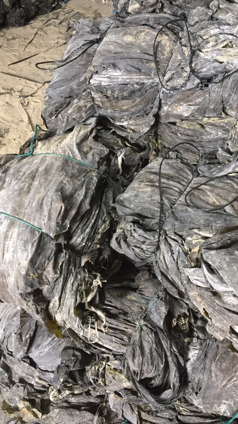 福建干海带，优质海带，泡发率1:5！原自深海海带