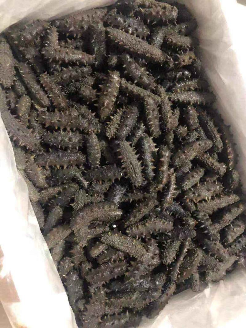 大火高刺辽参拉缸盐半干海参60-70头泡发率高