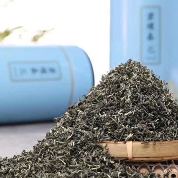明前茶碧螺春绿茶高山嫩芽豆香味浓新茶叶支持一件代发