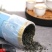 明前茶碧螺春绿茶高山嫩芽豆香味浓新茶叶支持一件代发