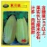 黄河脆精品脆瓜种子高抗品种