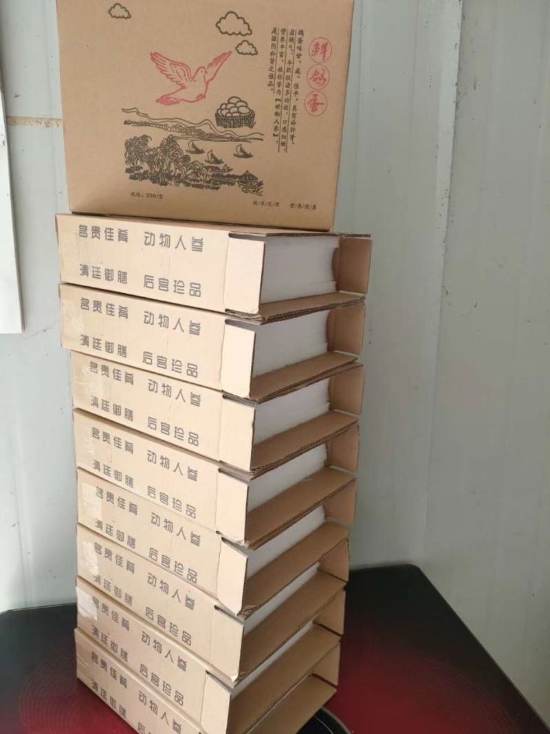 鸽子蛋长期出售一手货源！货源充足！诚信经营！