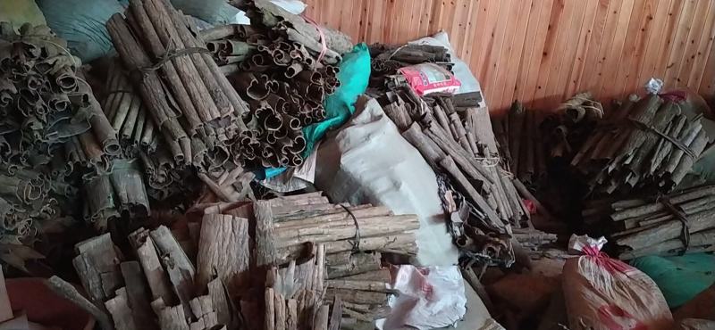 贵州铜仁树皮类中药材无硫老树杜仲皮干货多种规格产地直发