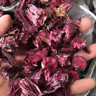 云南玫瑰茄，玫瑰茄颗粒，投料