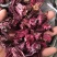 云南玫瑰茄，玫瑰茄颗粒，投料