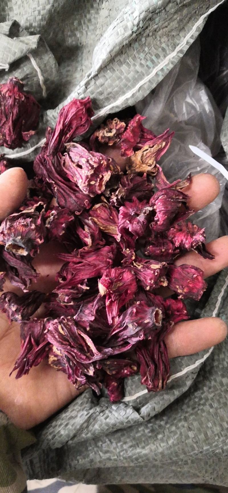 云南玫瑰茄，玫瑰茄颗粒，投料