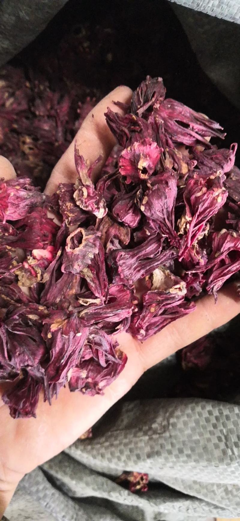 云南玫瑰茄，玫瑰茄颗粒，投料