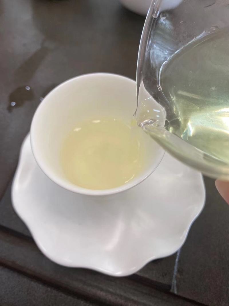 福建省安溪铁观音高海拔茶叶