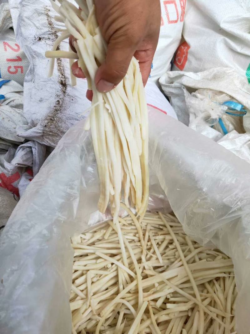 广西省百色市田林县八渡酸笋