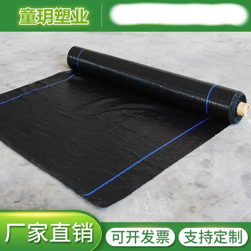 防草布除草布打孔切片支持定做可开发票量大优惠