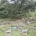 云南省深山农家百花土蜂蜜