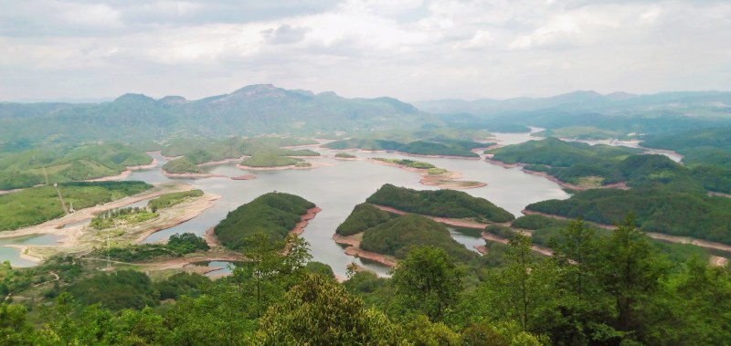 云南省深山农家百花土蜂蜜