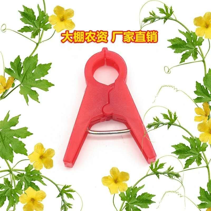 吊秧夹大棚蔬菜夹子黄瓜西红柿绑蔓夹吊蔓夹绑秧夹厂家直销