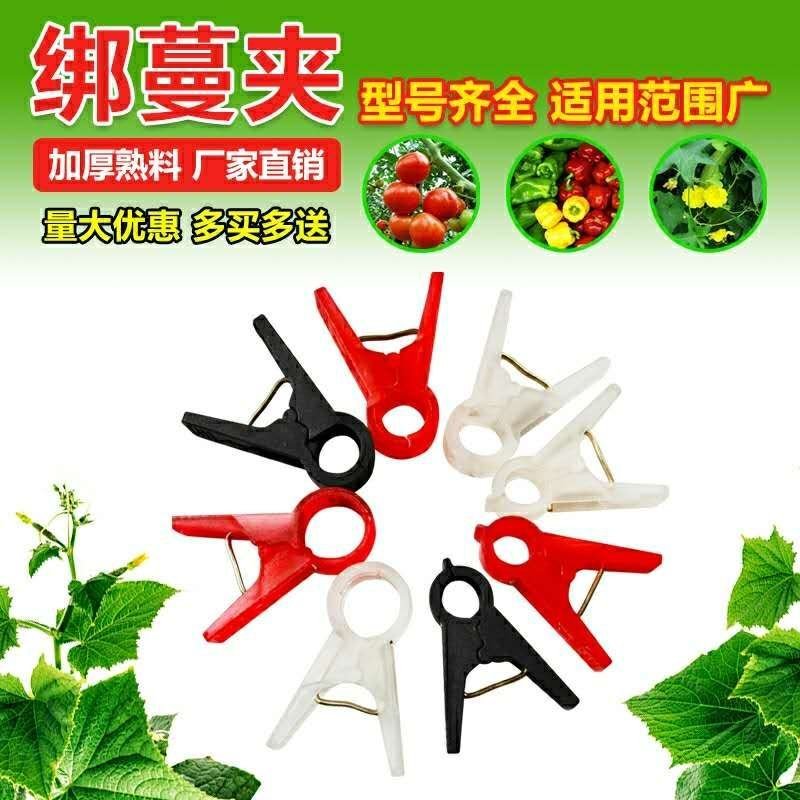 吊秧夹大棚蔬菜夹子黄瓜西红柿绑蔓夹吊蔓夹绑秧夹厂家直销